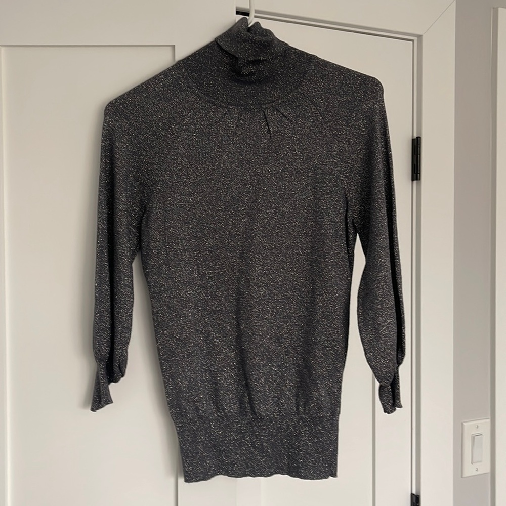 Express Design Studio Turtleneck Top. XS
